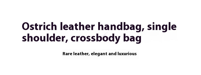 2025 Trendy Studded South African Ostrich Leather Platinum Handbag